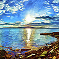 Schoodic Point Cove